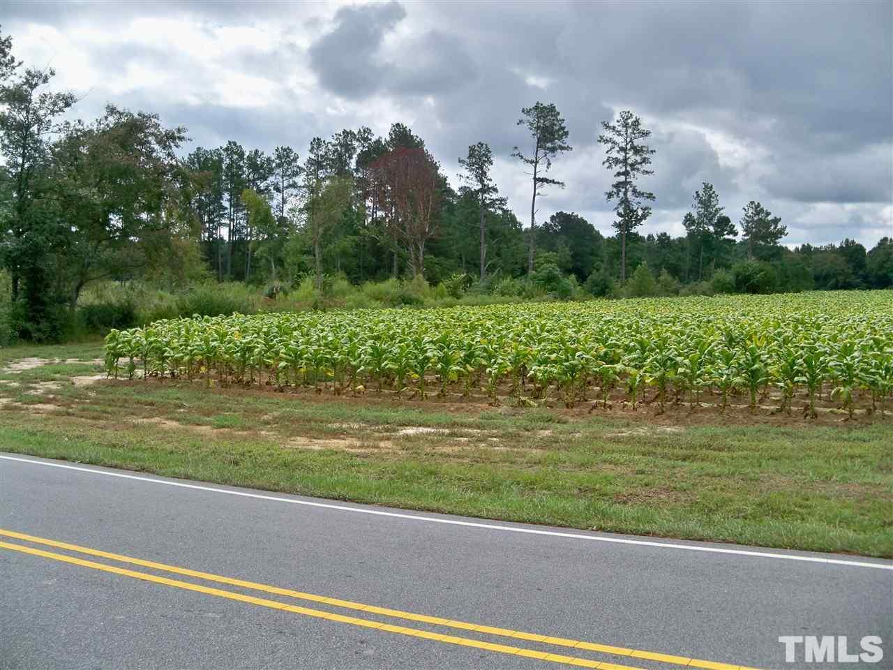 Lot 8 Pilot Riley Road Zebulon, NC 27597 - Photo 1 of 1