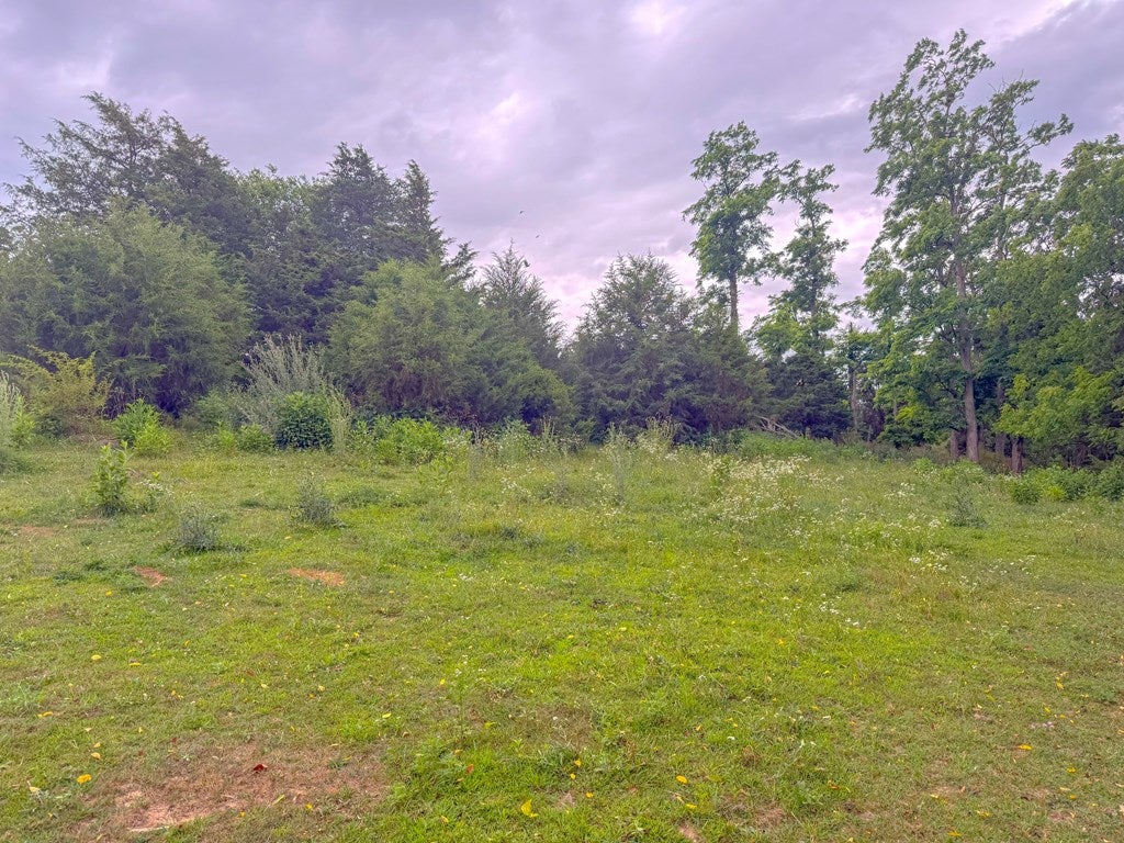 1620 Austinville Road Max Meadows, VA 24360 - Photo 23 of 33 Gallery Image 23