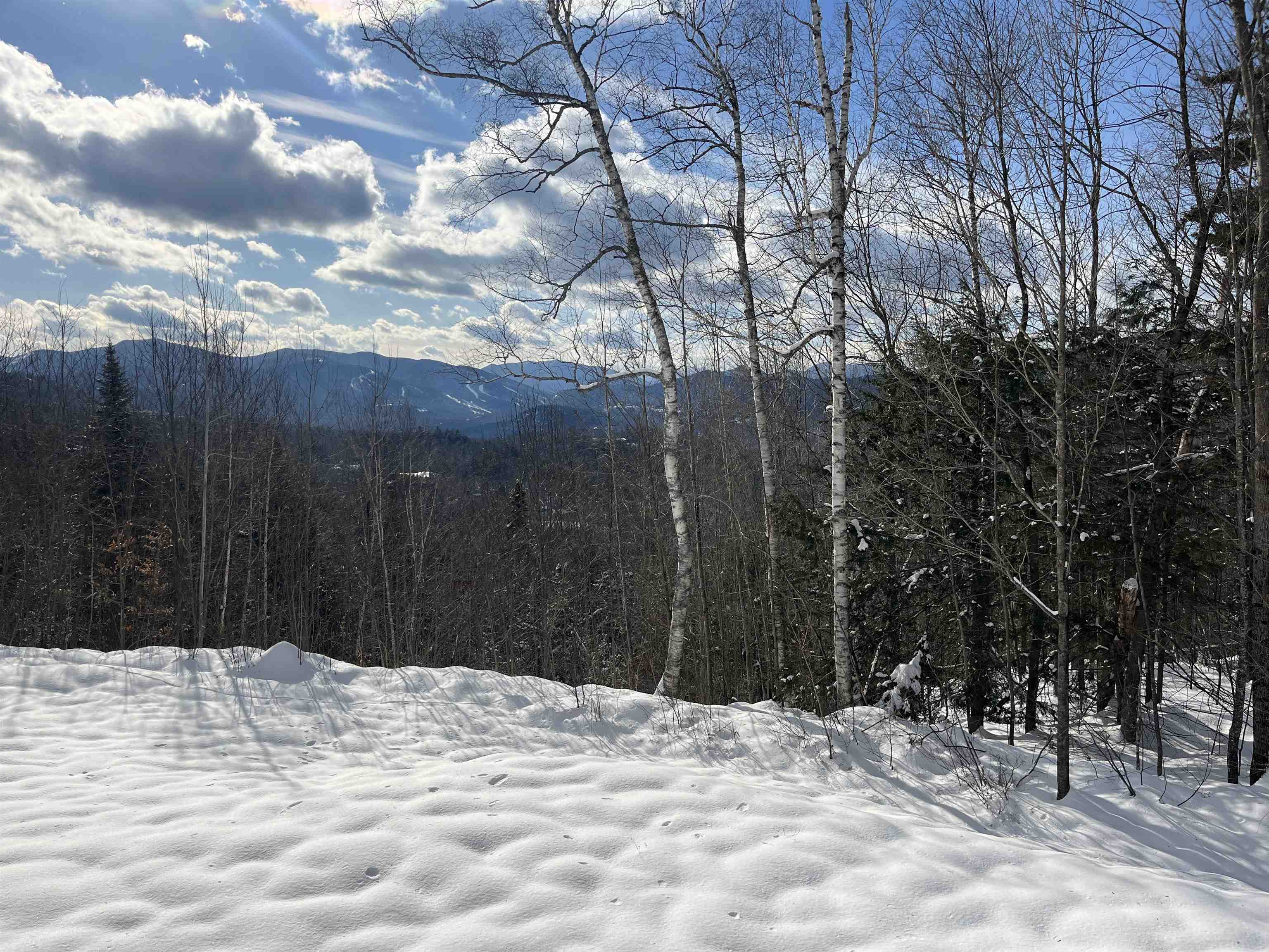 62 Juniper Way Jackson, NH 03846 - Photo 3 of 29