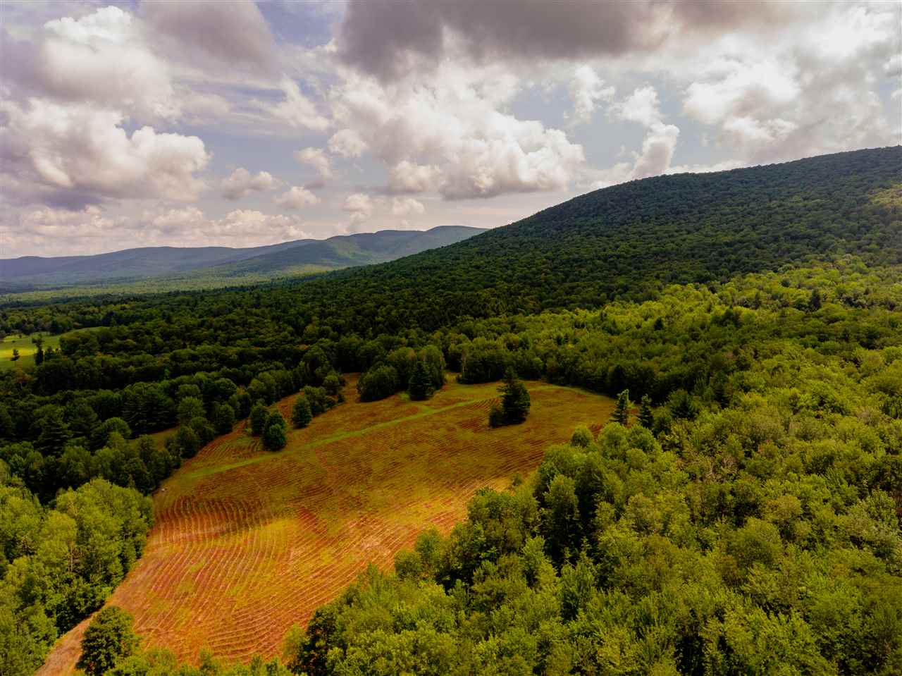 0 Brownsville Road Stowe, VT 05672 - Photo 9 of 40 Gallery Image 9