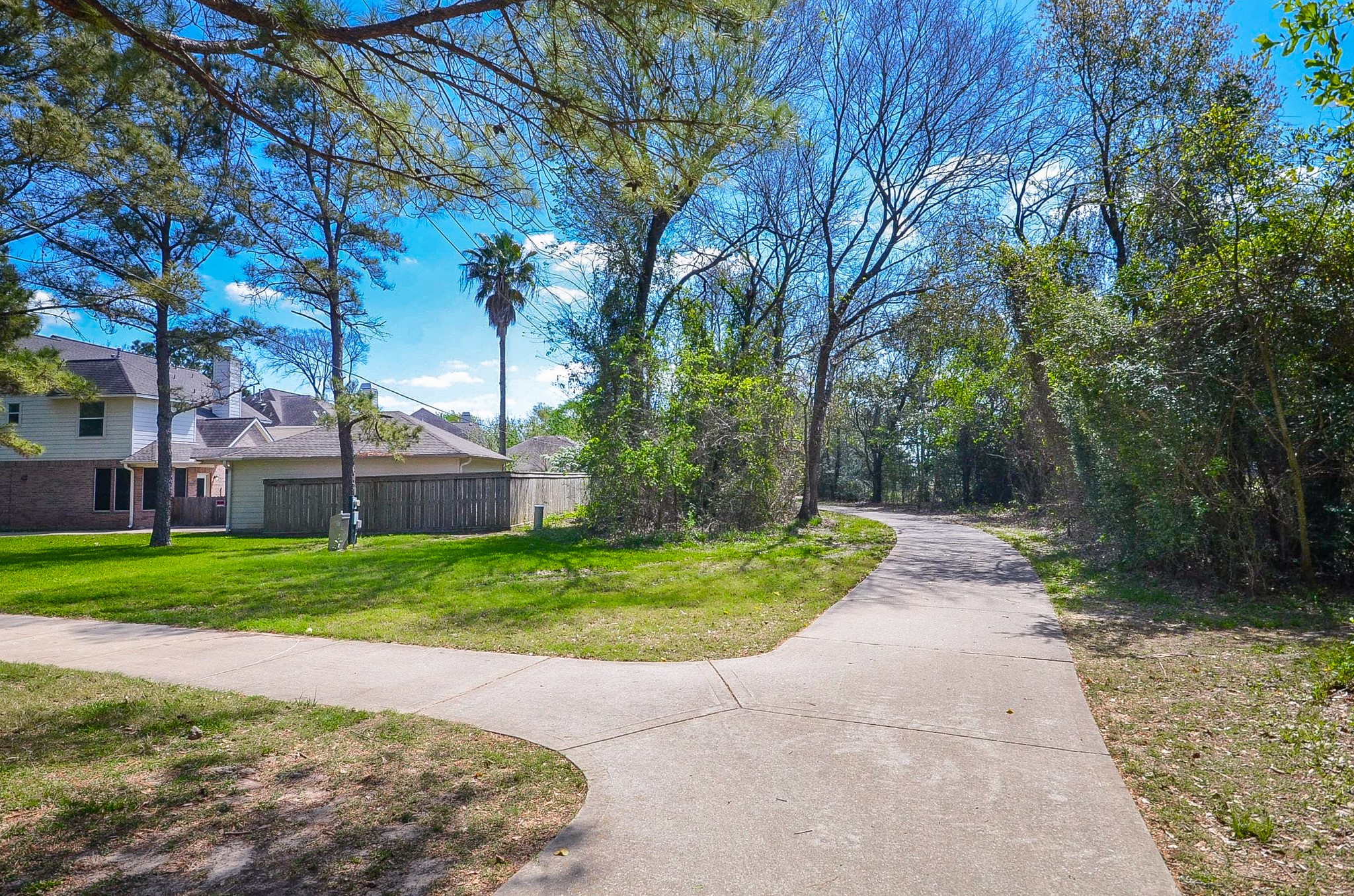 23615 Banning Point Court Katy, TX 77494 - Photo 48 of 50 a view of backyard with green space