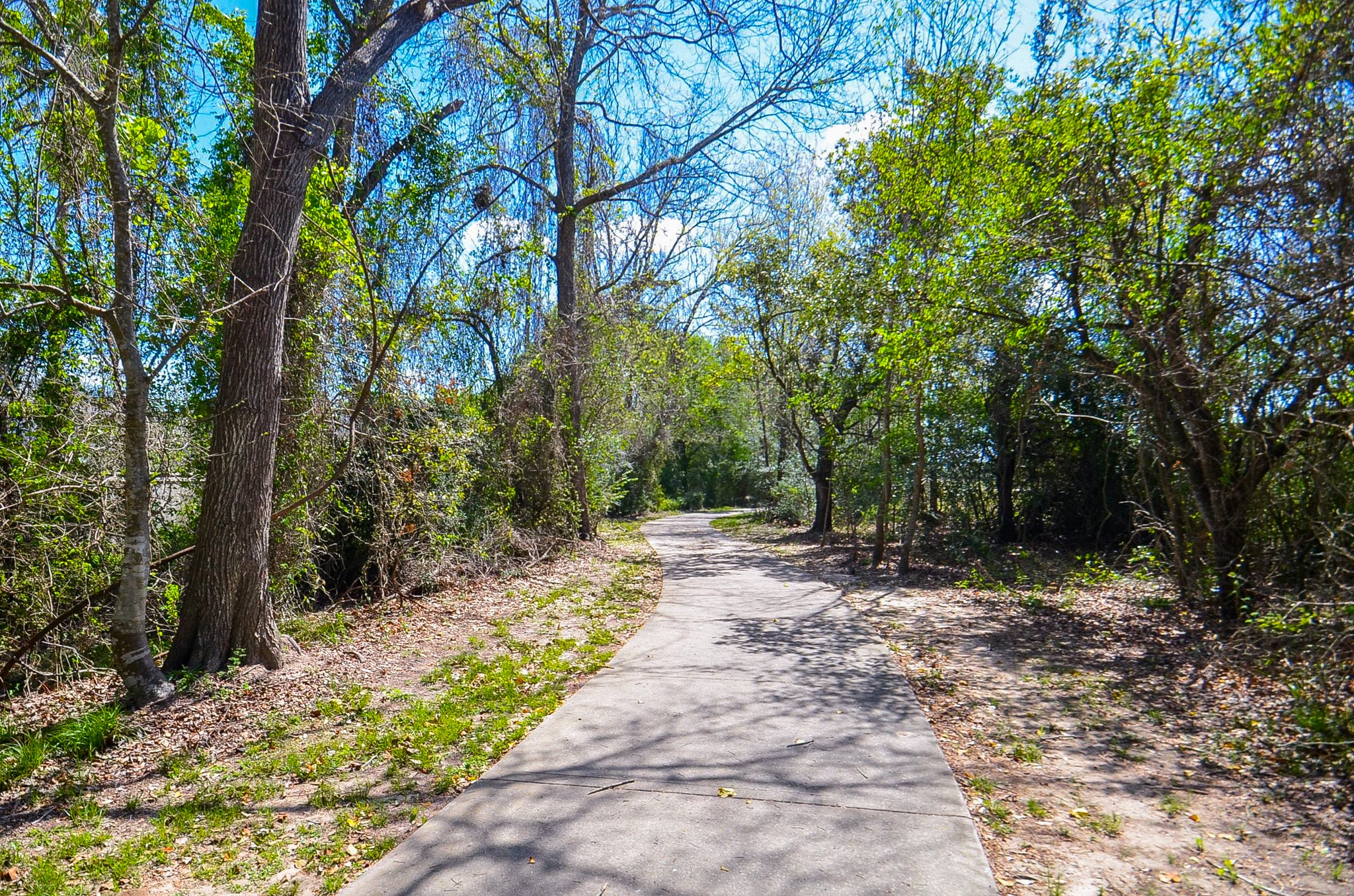 23615 Banning Point Court Katy, TX 77494 - Photo 49 of 50 a pathway of a yard