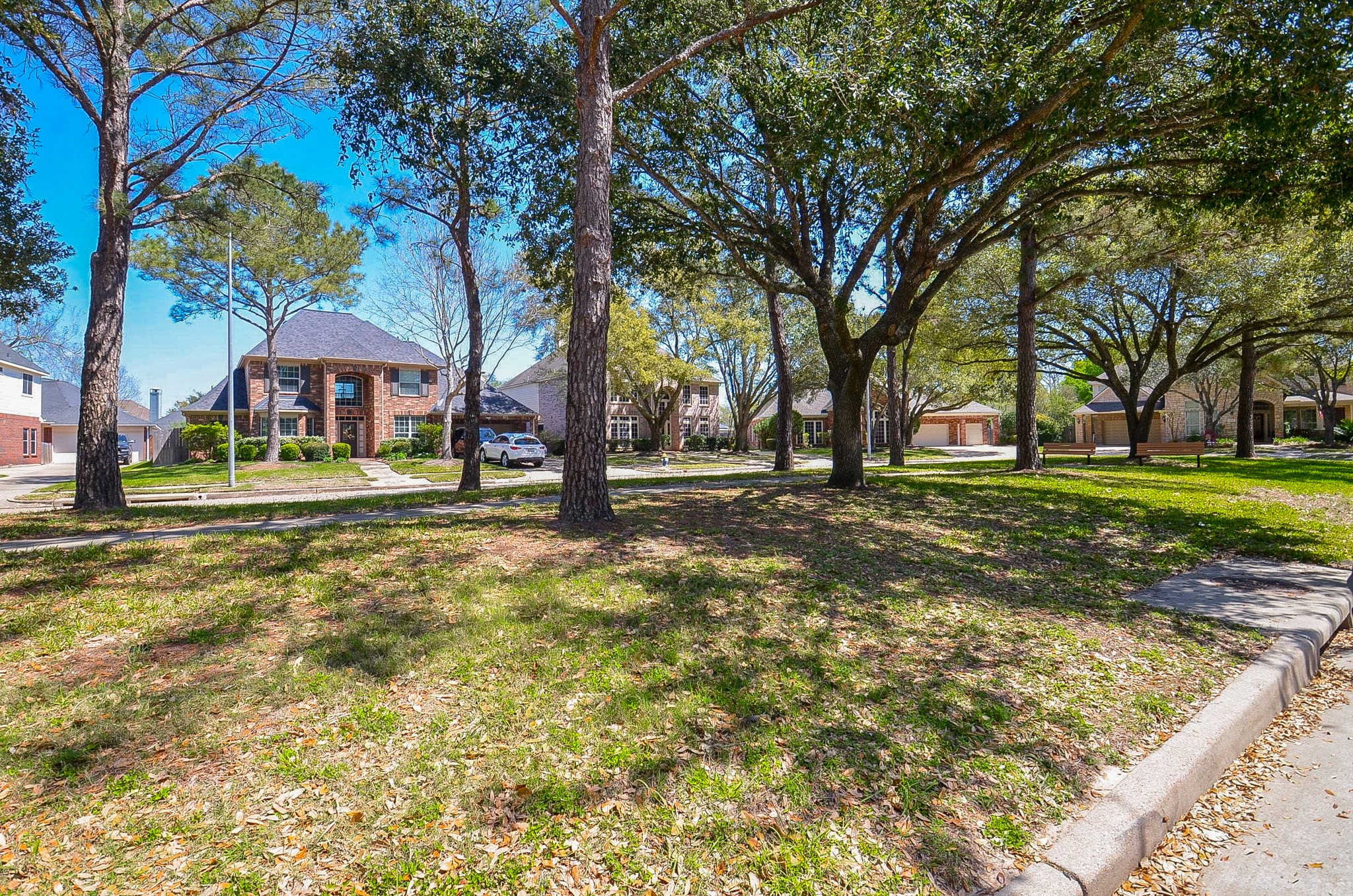 23615 Banning Point Court Katy, TX 77494 - Photo 50 of 50 a view of a yard in front of a house