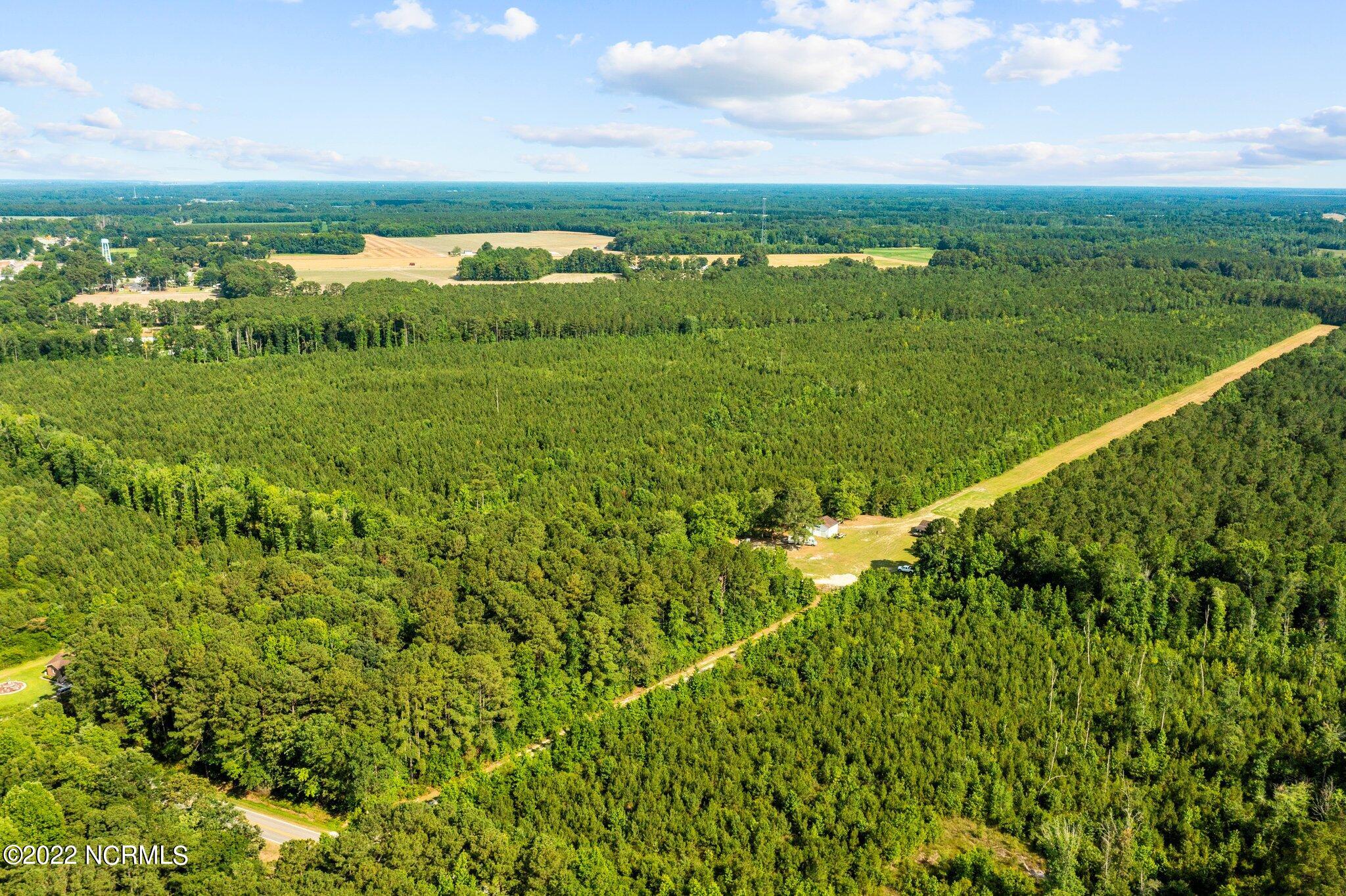 4812 Mobleys Bridge Road Grimesland, NC 27837 - Photo 7 of 12 web_DJI_0996