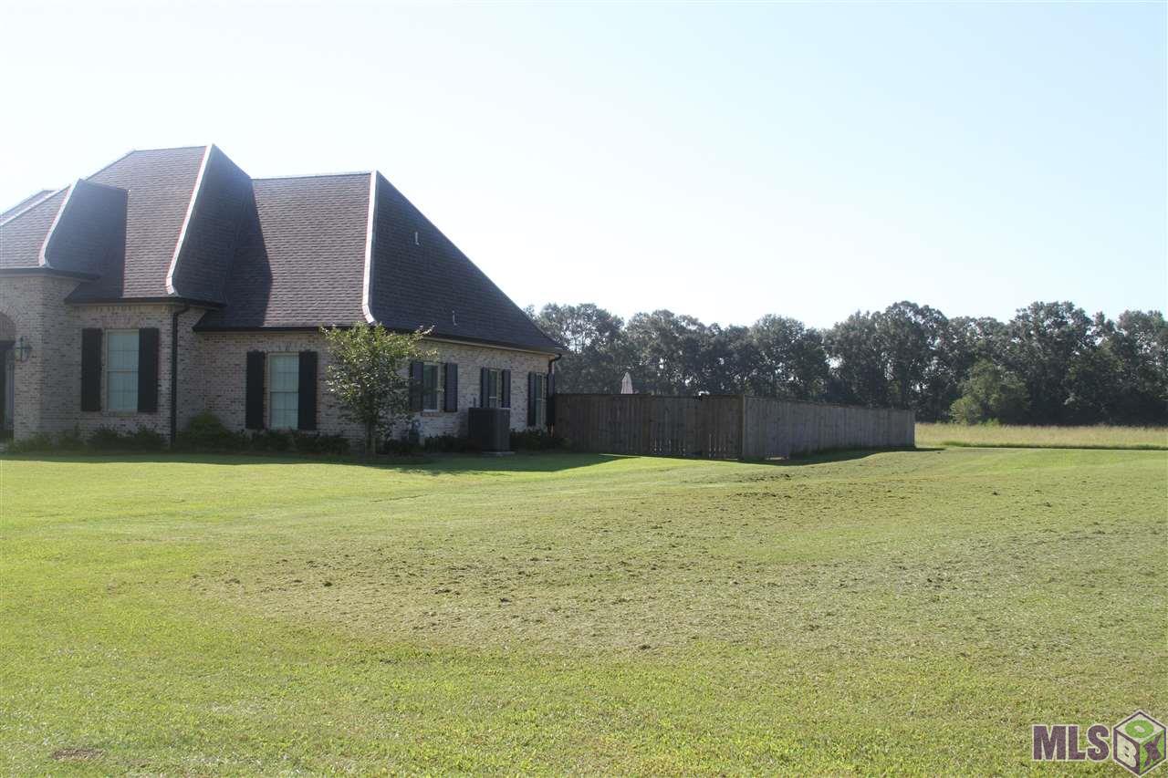 Side View
