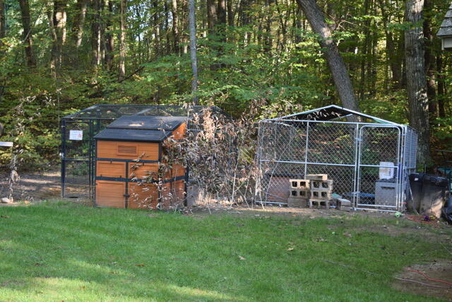 242 Clark Road Wells, ME 04090 - Photo 37 of 38 DSC_0216