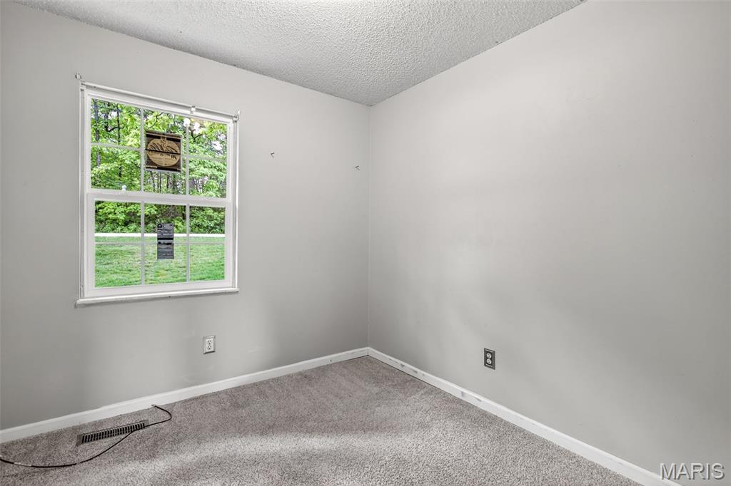 466 Rue Martel Bonne Terre, MO 63628 - Photo 25 of 53