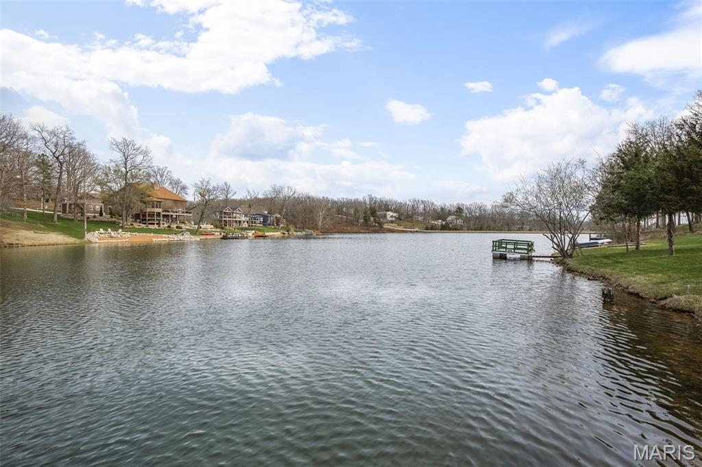 466 Rue Martel Bonne Terre, MO 63628 - Photo 52 of 53