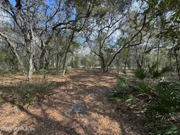 a view of outdoor space with trees