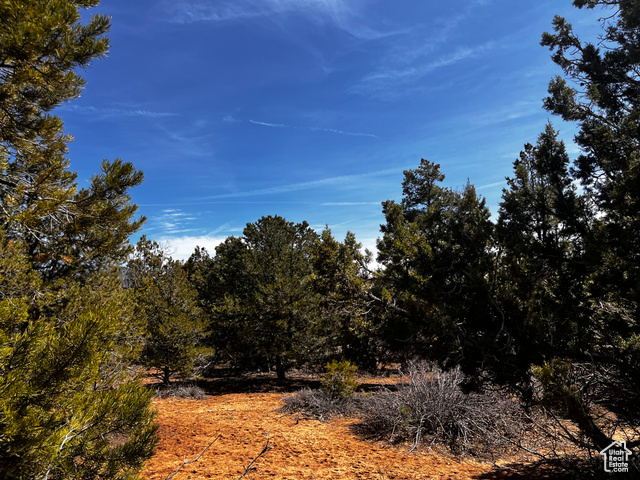 View of landscape