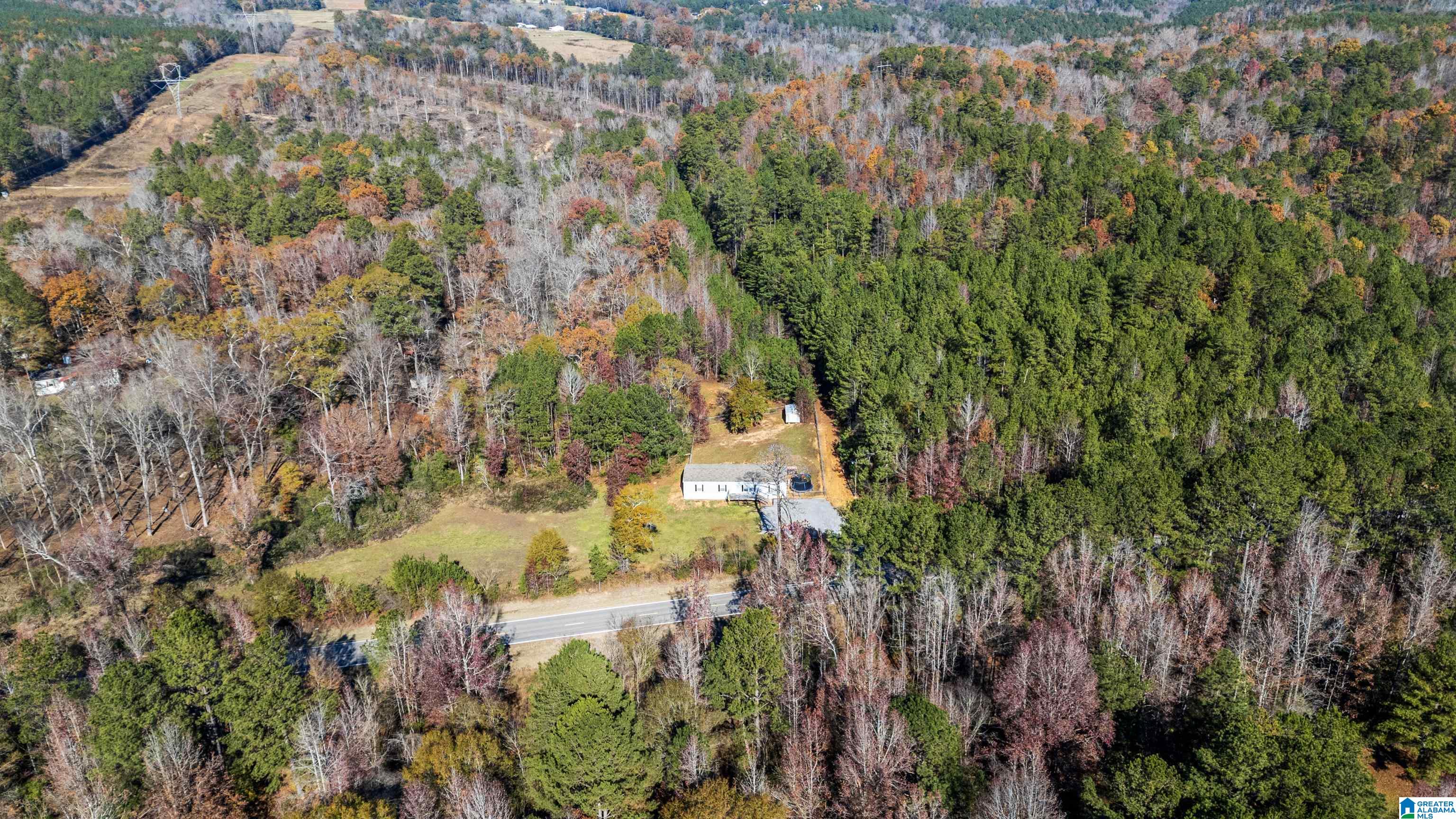 4135 Warrior Jasper Road Dora, AL 35062 - Photo 39 of 47