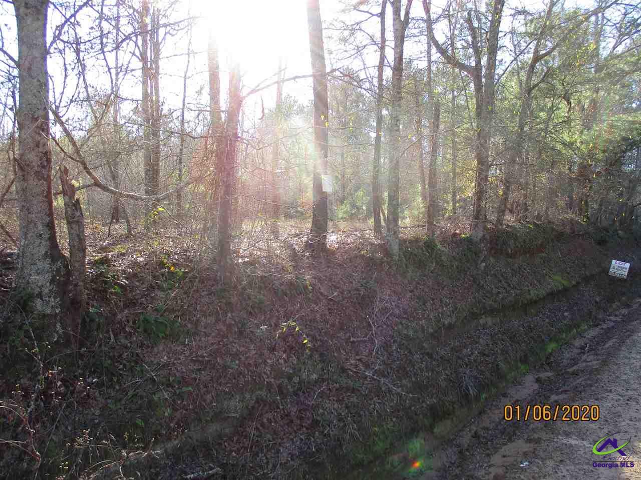 875 East Flournoy Road Hawkinsville, GA 31036 - Photo 7 of 9