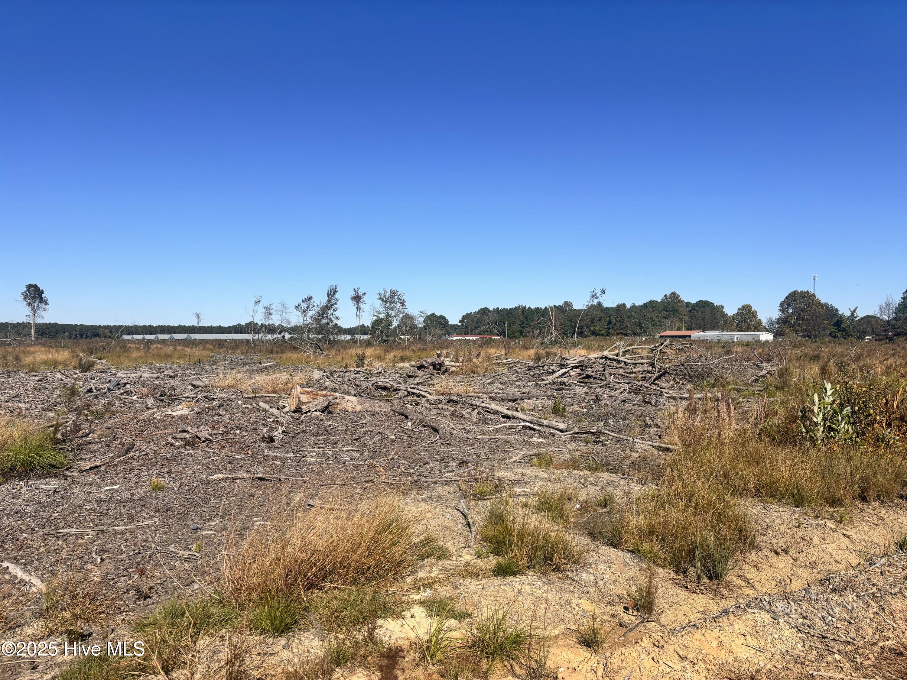0 Shipp Road Clinton, NC 28328 - Photo 2 of 2 93339E10-007C-45A4-87F2-DAFE29D19669