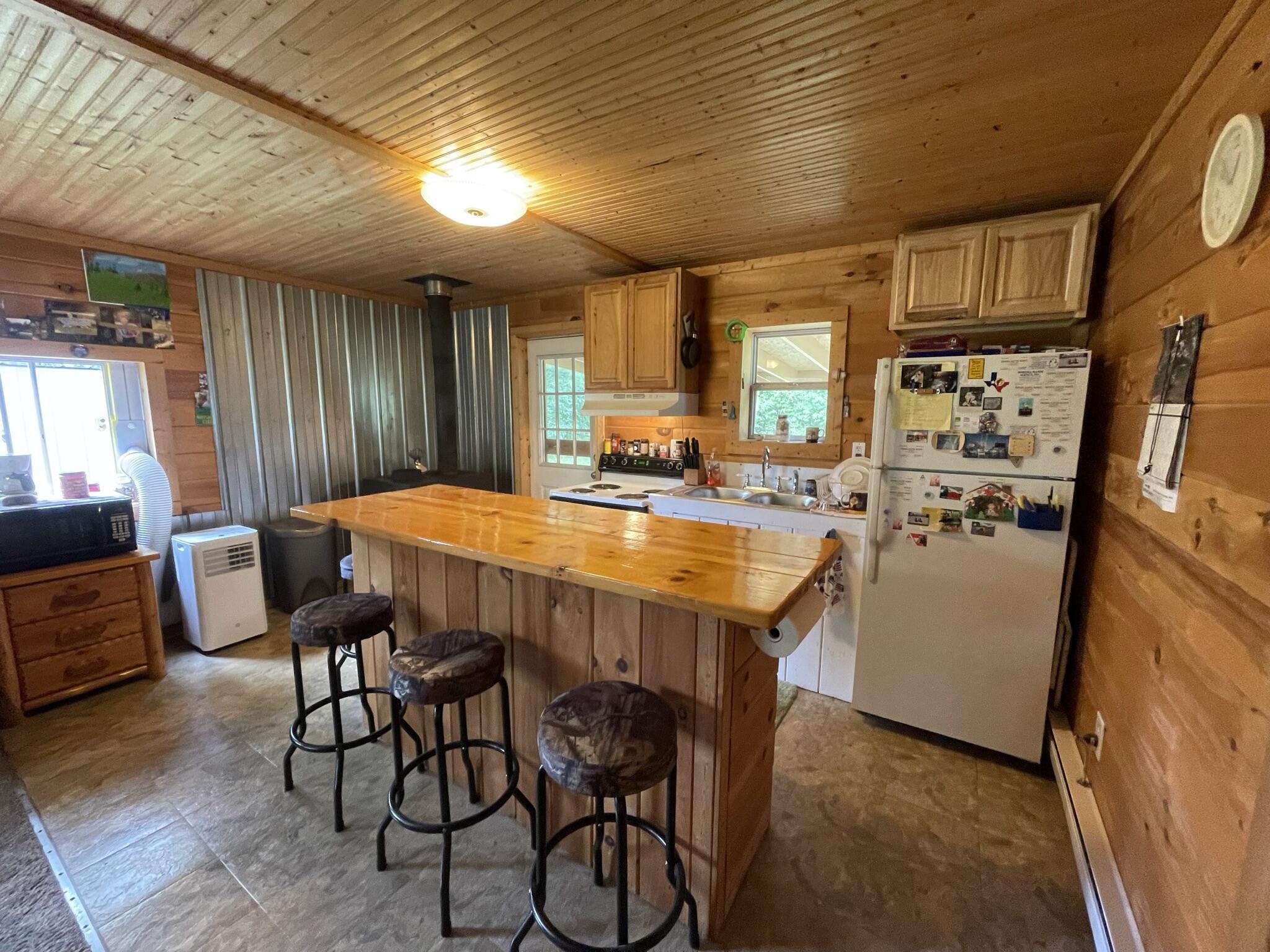 11657 North Brooks Road Irons, MI 49644 - Photo 8 of 28 IMG_0624