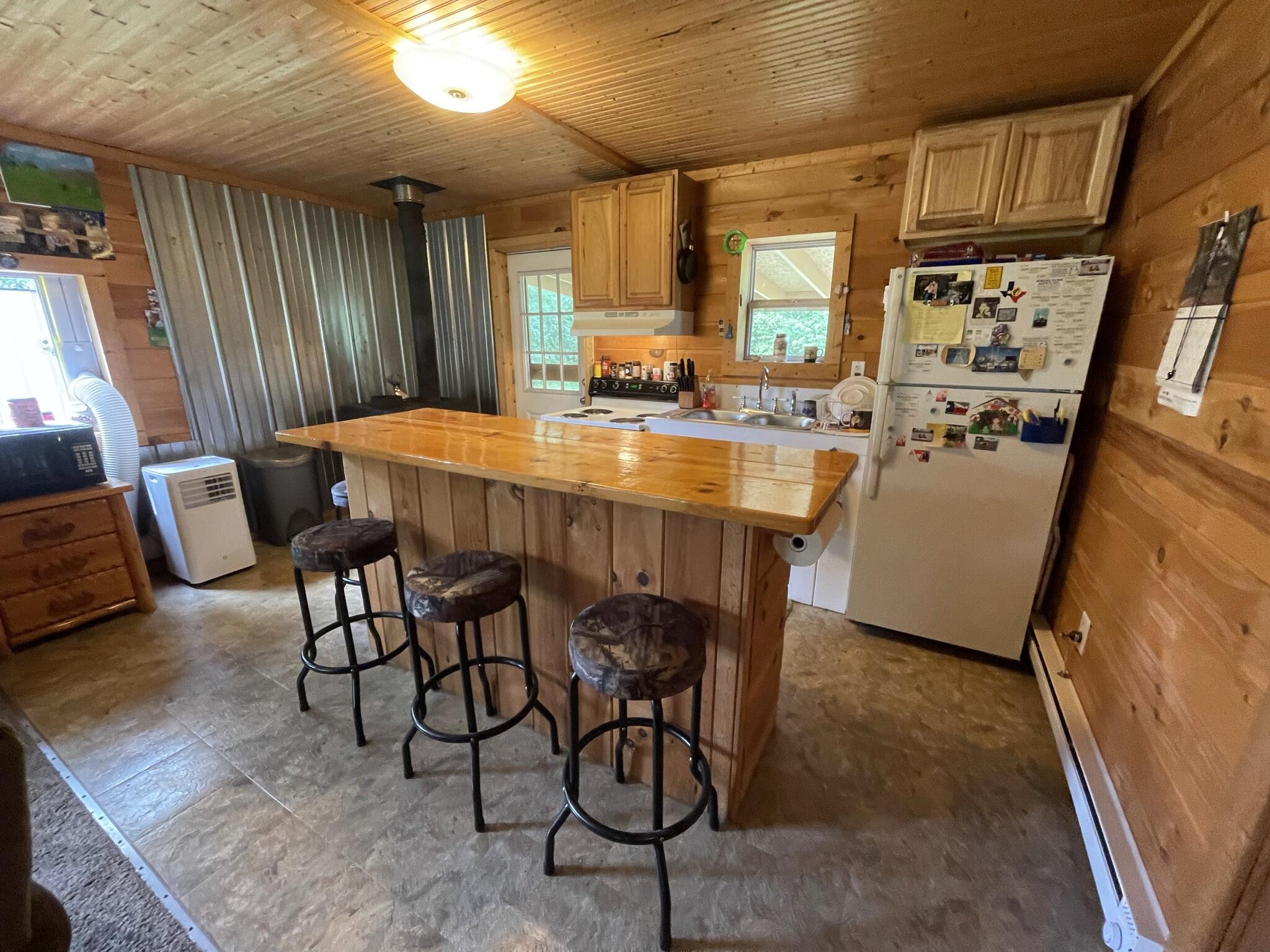 11657 North Brooks Road Irons, MI 49644 - Photo 9 of 28 IMG_0625