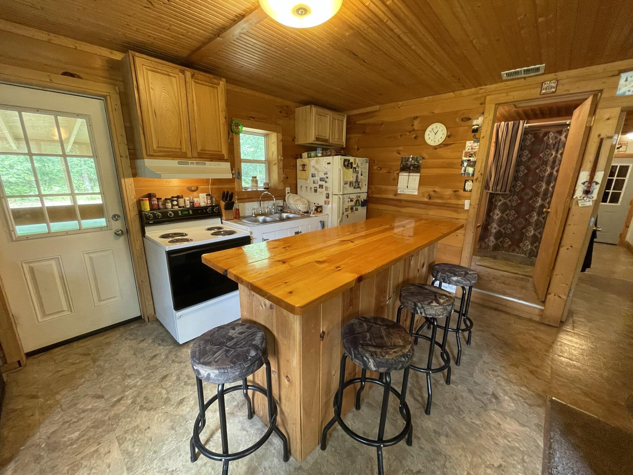 11657 North Brooks Road Irons, MI 49644 - Photo 10 of 28 IMG_0626