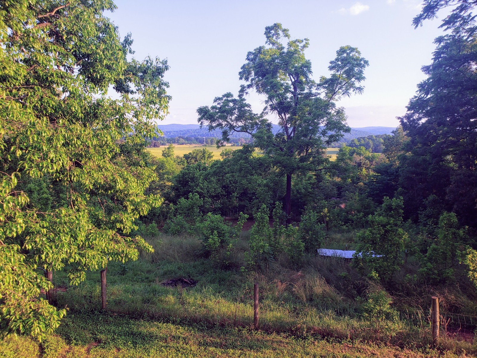 2500 East Gooseneck Road Sparta, TN 38583 - Photo 7 of 23 Gallery Image 7