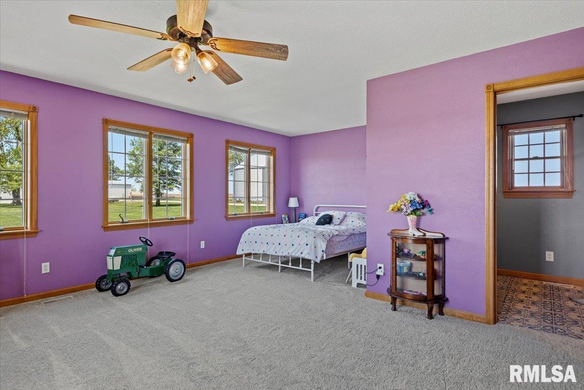 20205 North 20th Avenue Nokomis, IL 62075 - Photo 20 of 88