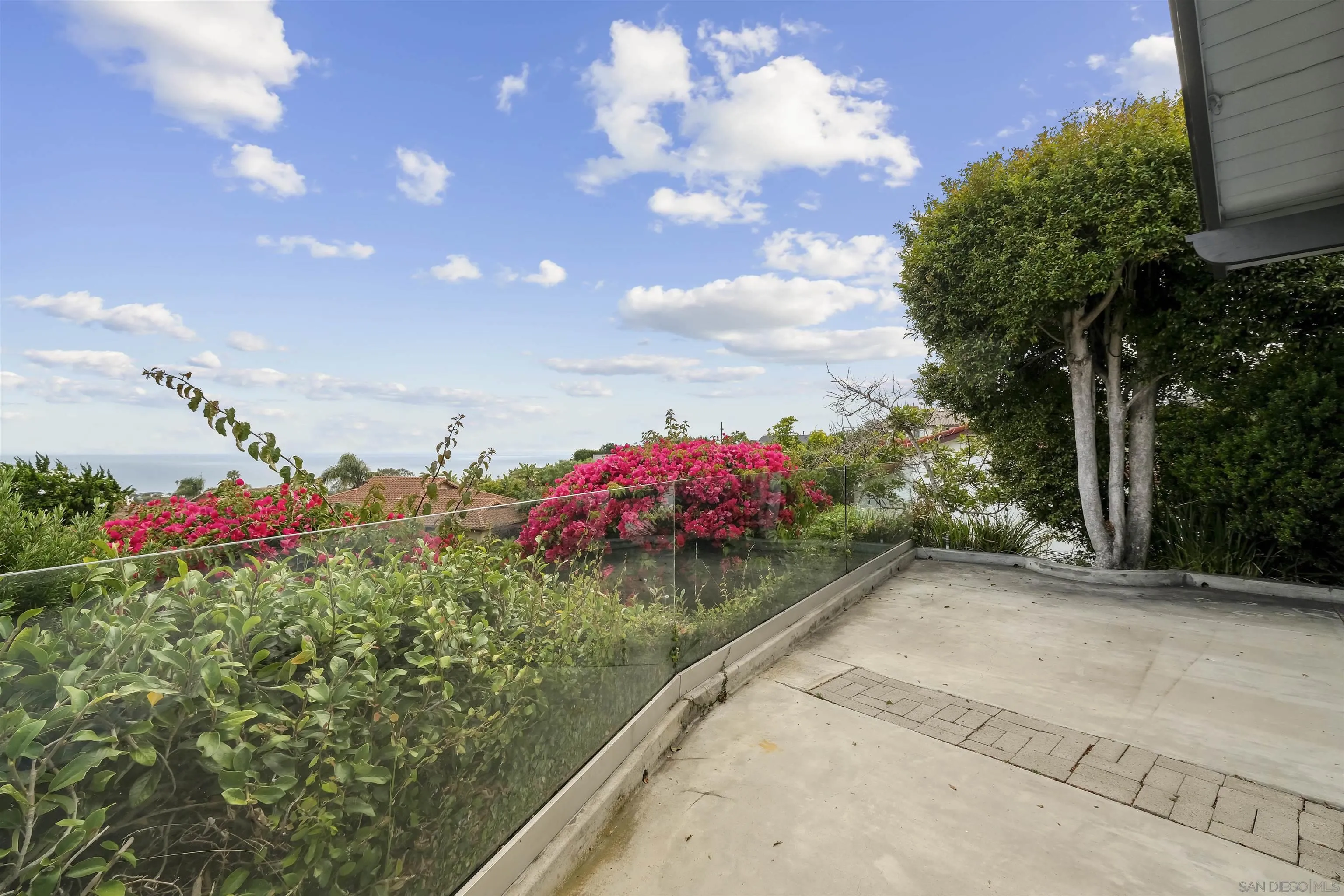 838 Lamplight Drive La Jolla, CA 92037 - Photo 38 of 42 a view of a flower in a garden
