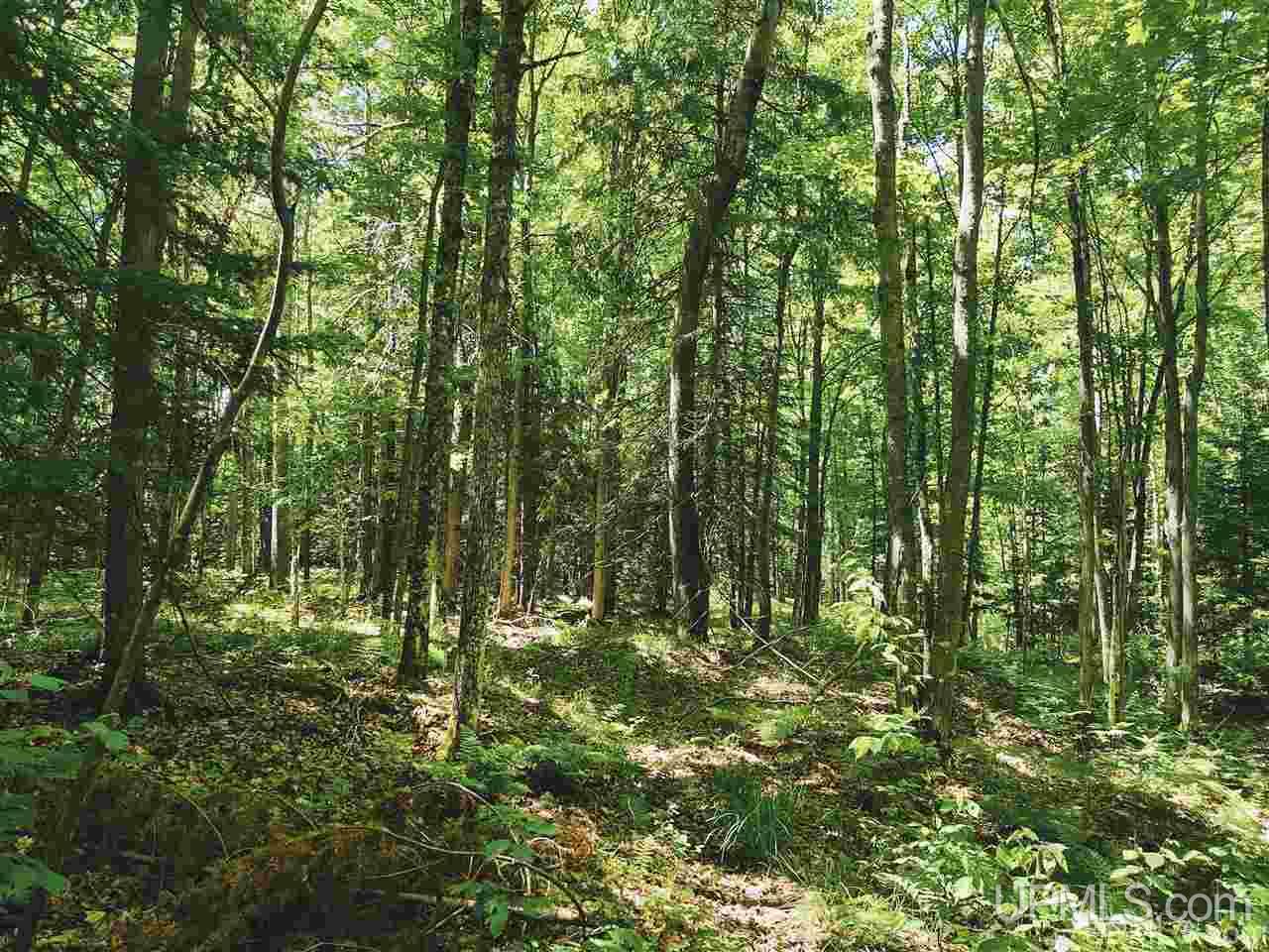 Tbd Tbd Indian Cemetery Road Lanse, MI 49946 - Photo 24 of 40