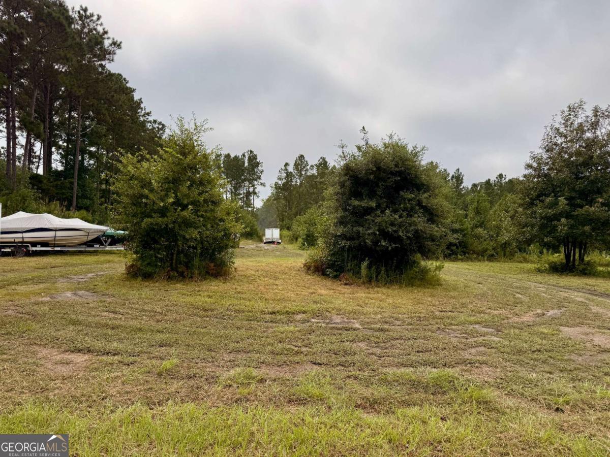 1550 Belfast River Road Richmond Hill, GA 31324 - Photo 2 of 4