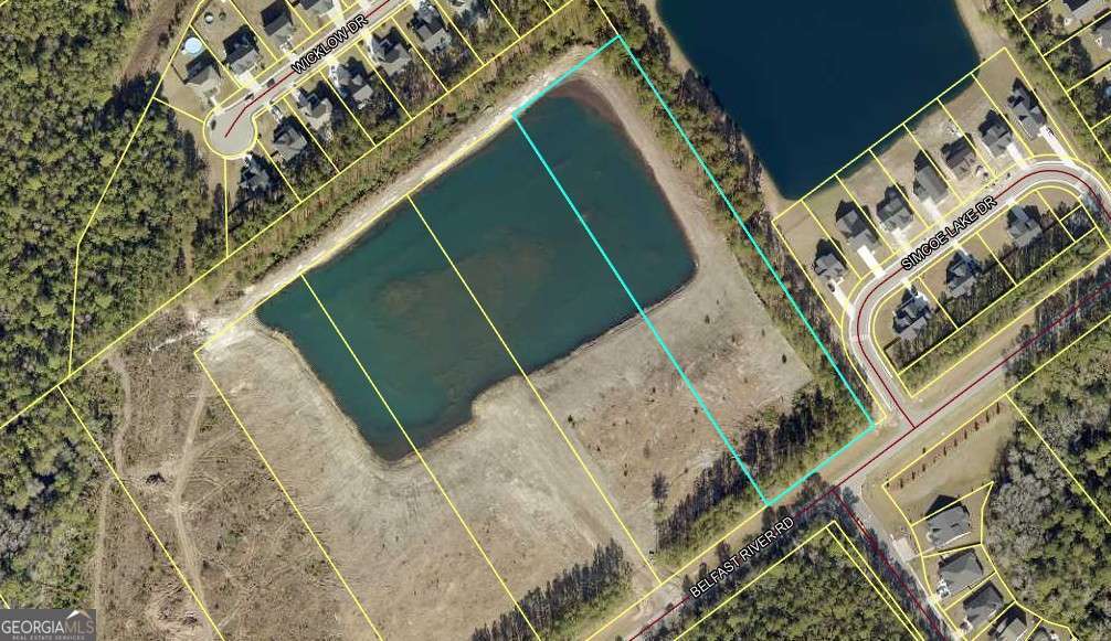 1550 Belfast River Road Richmond Hill, GA 31324 - Photo 3 of 4