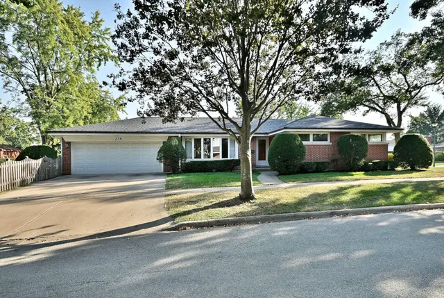 a view of a house with a large tree and a yard