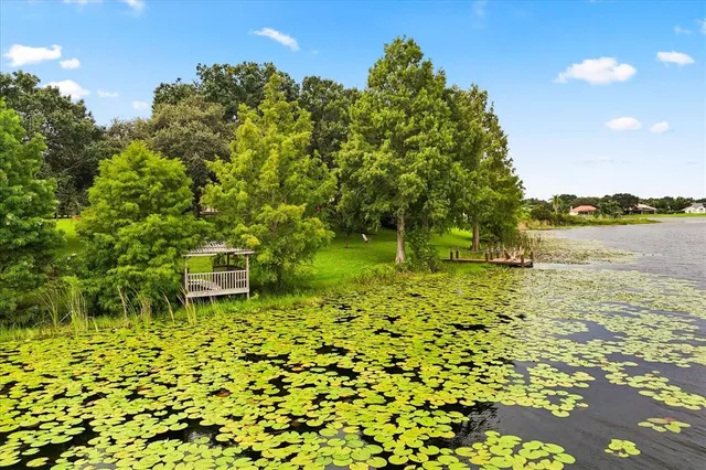 $1,699,000 | 13123 Luntz Point Lane, Windermere, FL 34786