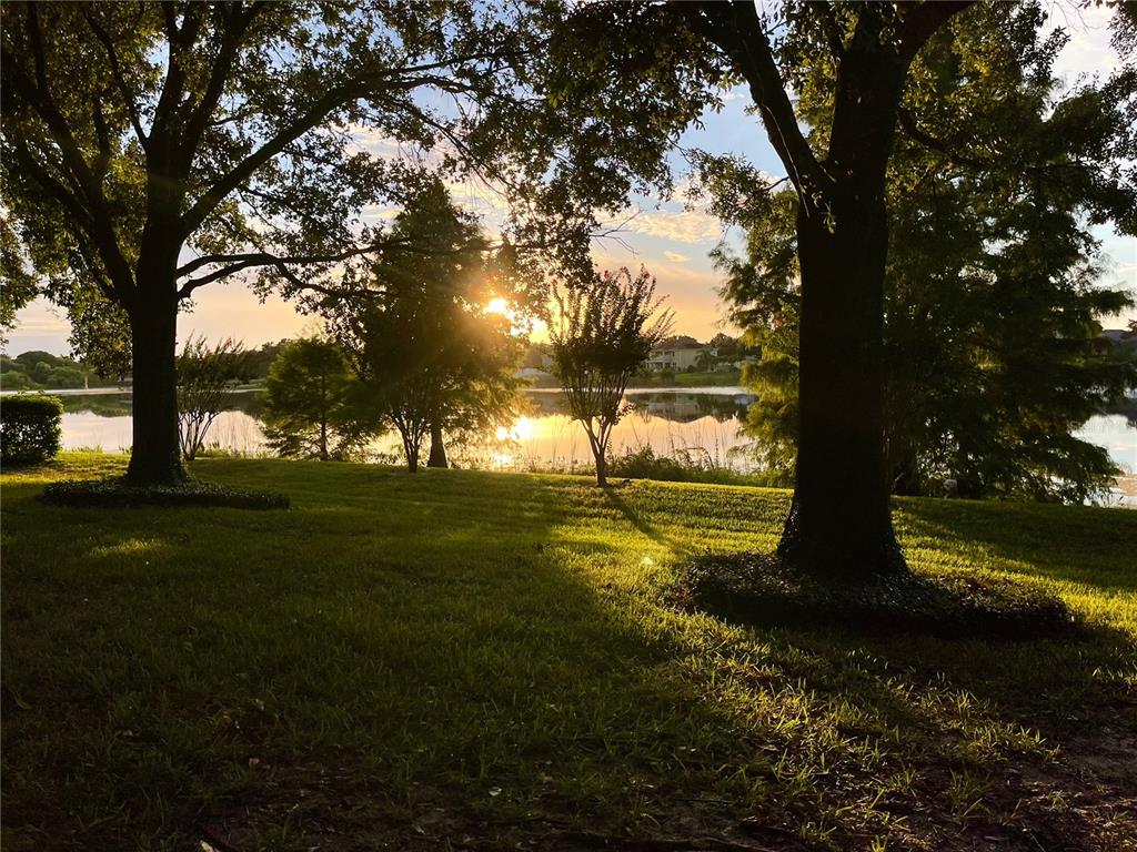 13123 Luntz Point Lane Windermere, FL 34786 - Photo 44 of 58