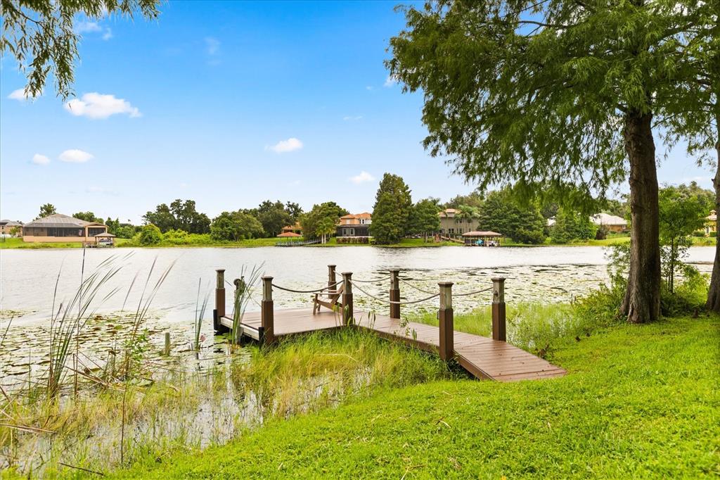 13123 Luntz Point Lane Windermere, FL 34786 - Photo 46 of 58