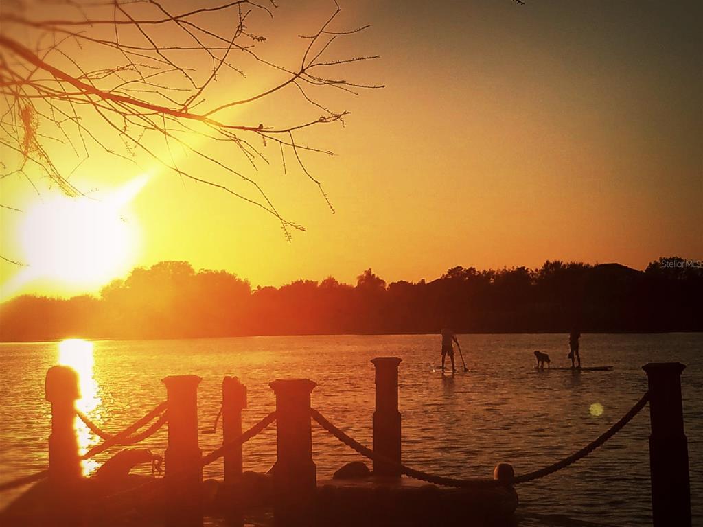 13123 Luntz Point Lane Windermere, FL 34786 - Photo 49 of 58