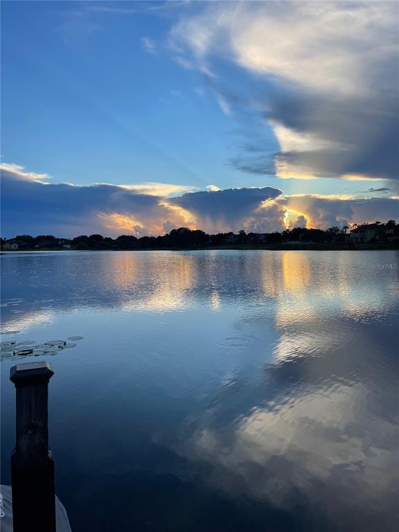 13123 Luntz Point Lane Windermere, FL 34786 - Photo 51 of 58