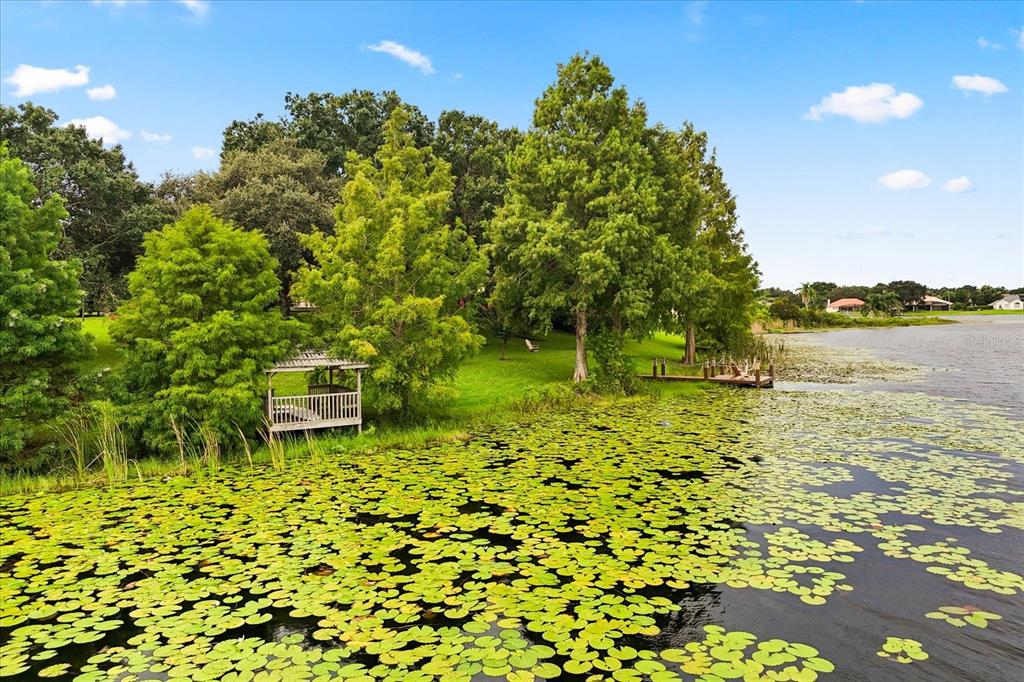13123 Luntz Point Lane Windermere, FL 34786 - Photo 53 of 58