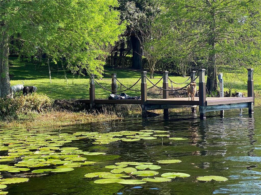 13123 Luntz Point Lane Windermere, FL 34786 - Photo 54 of 58