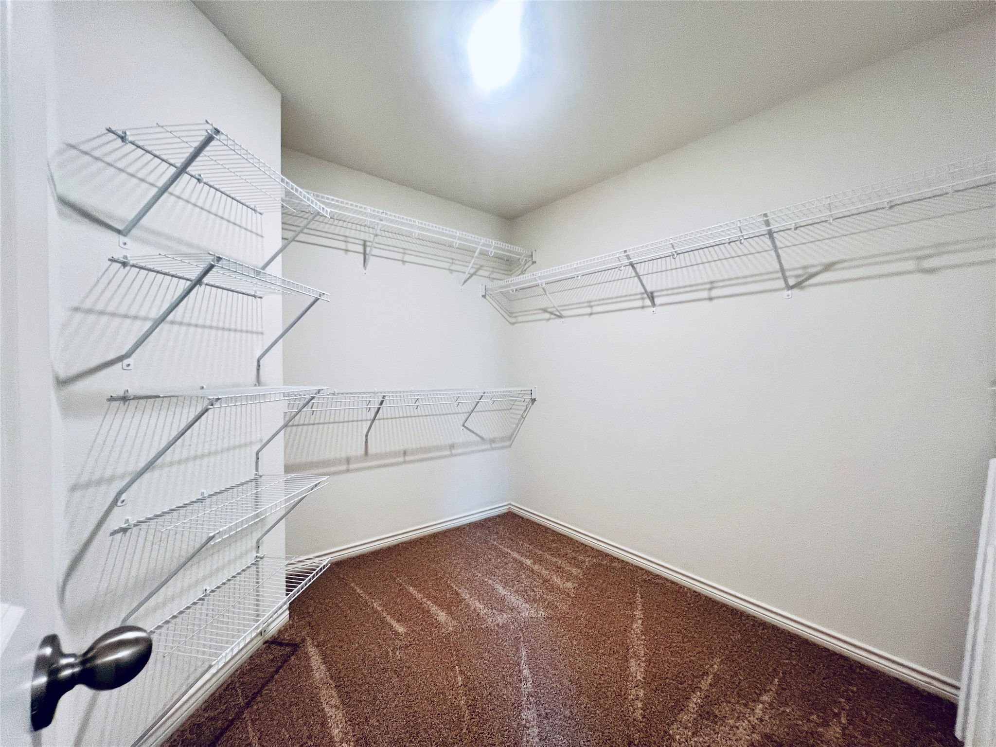 520 Locksley Cove Jarrell, TX 76537 - Photo 12 of 27 Ample wire shelving maximizes storage in this carpeted walk-in closet.