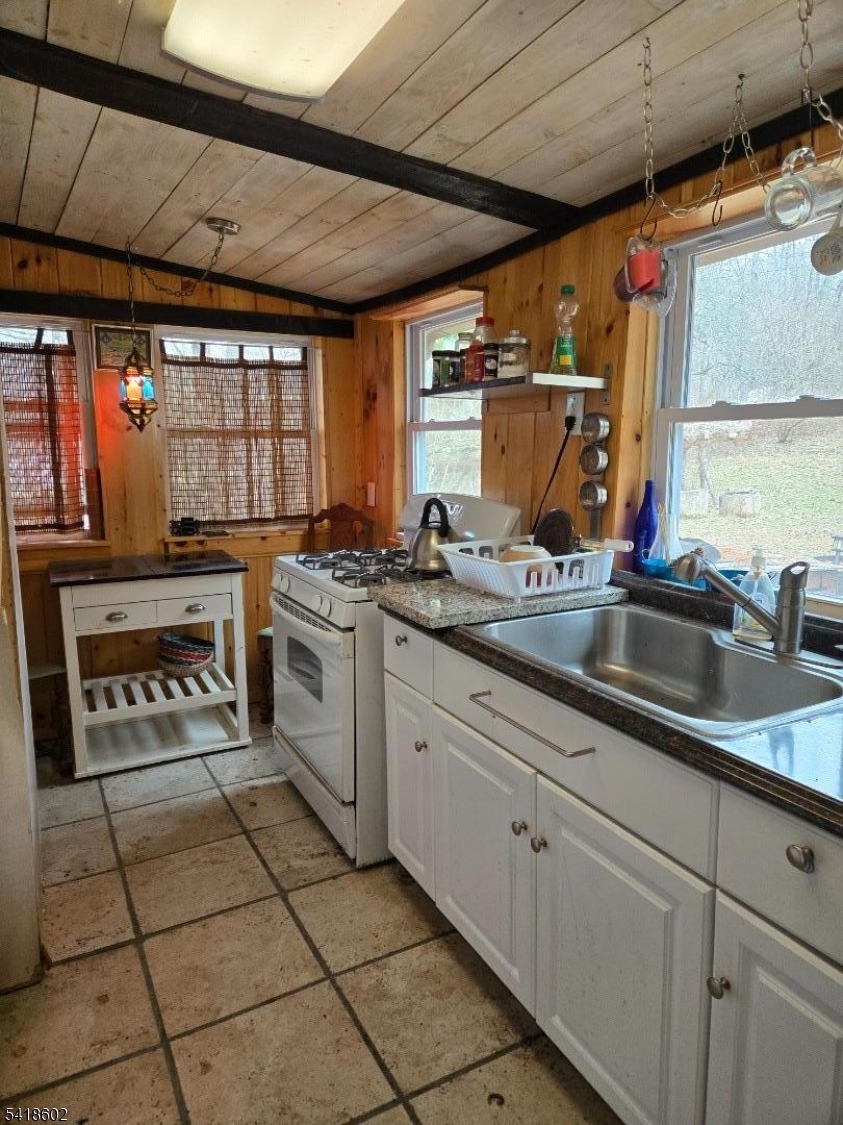 40 Meyer Road Branchville, NJ 07827 - Photo 6 of 11 a kitchen with a stove a sink and a counter top space