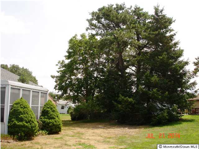 23B Mill Road, Unit A Whiting, NJ 08759 - Photo 3 of 19 Additional Photo