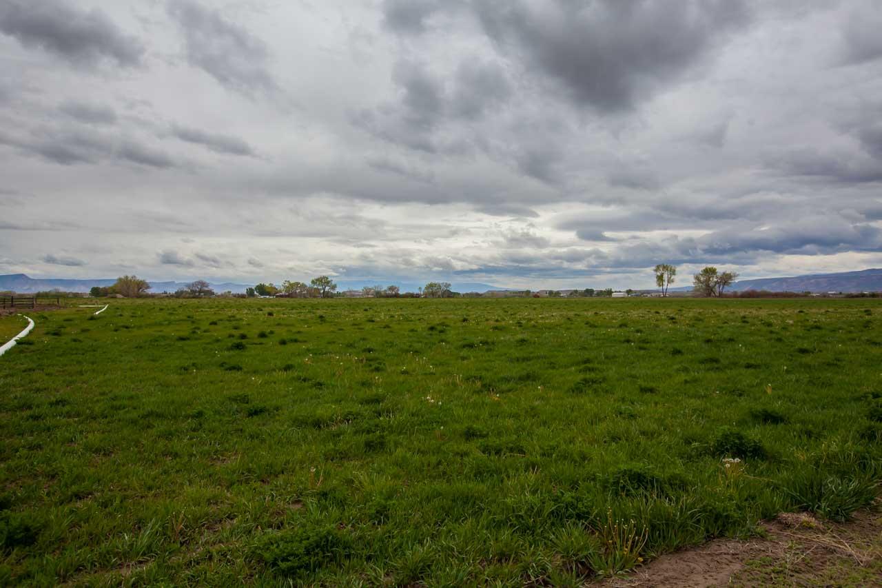 1355 Saddle Ridge Road Loma, CO 81524 - Photo 2 of 36 a view of a big yard with plants and large trees