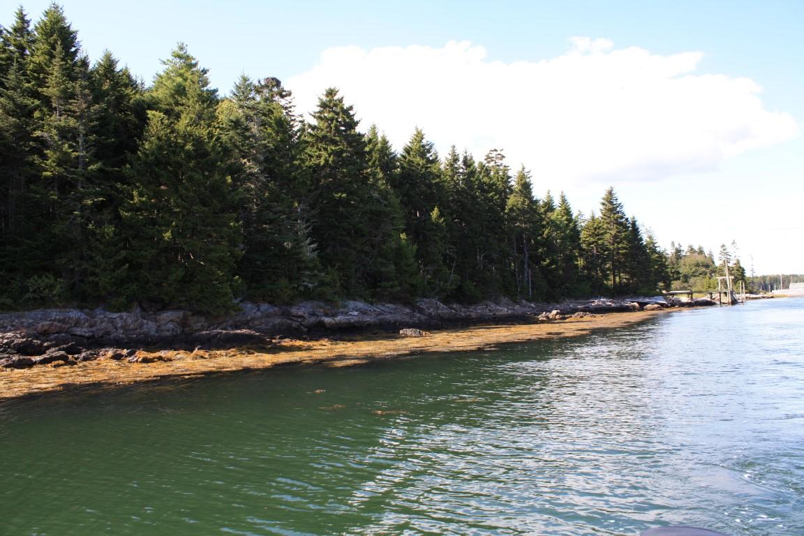 0 South Beach Road Southport, ME 04576 - Photo 1 of 6 Pratt's Island, Southport