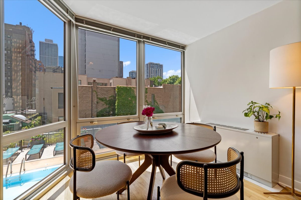 21 West Goethe Street, Unit 4H Chicago, IL 60610 - Photo 8 of 18