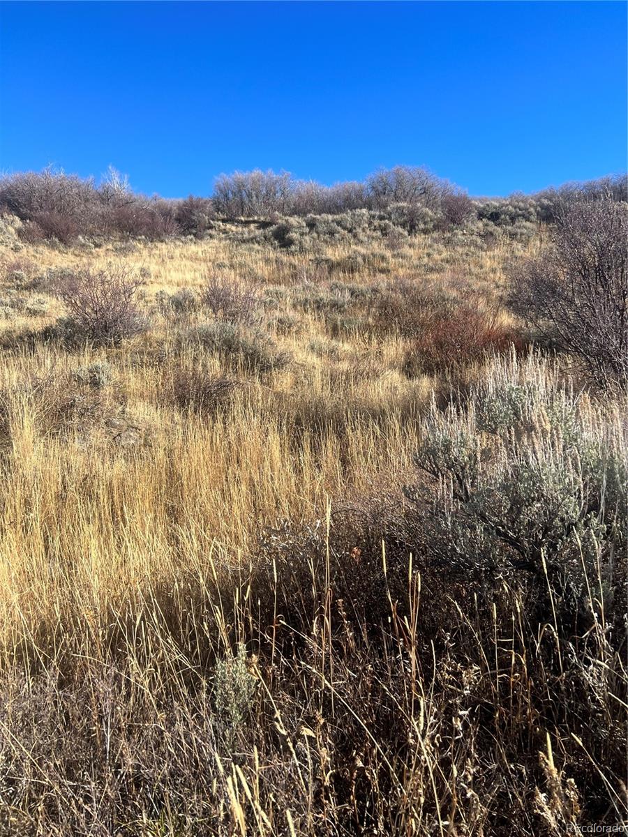 544 Timberlane Loop Craig, CO 81625 - Photo 6 of 12