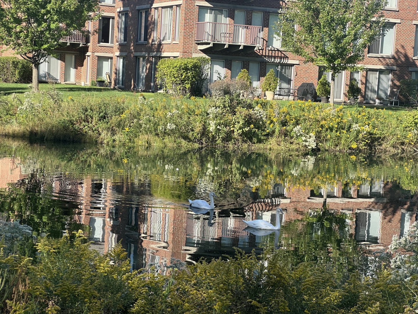401 Kelburn Road, Unit 114 Deerfield, IL 60015 - Photo 3 of 19 Gallery Image 3