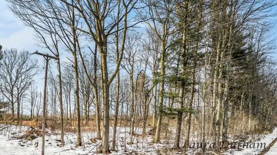 $137,500 | 11525 Fillmore Street, West Olive, MI 49460