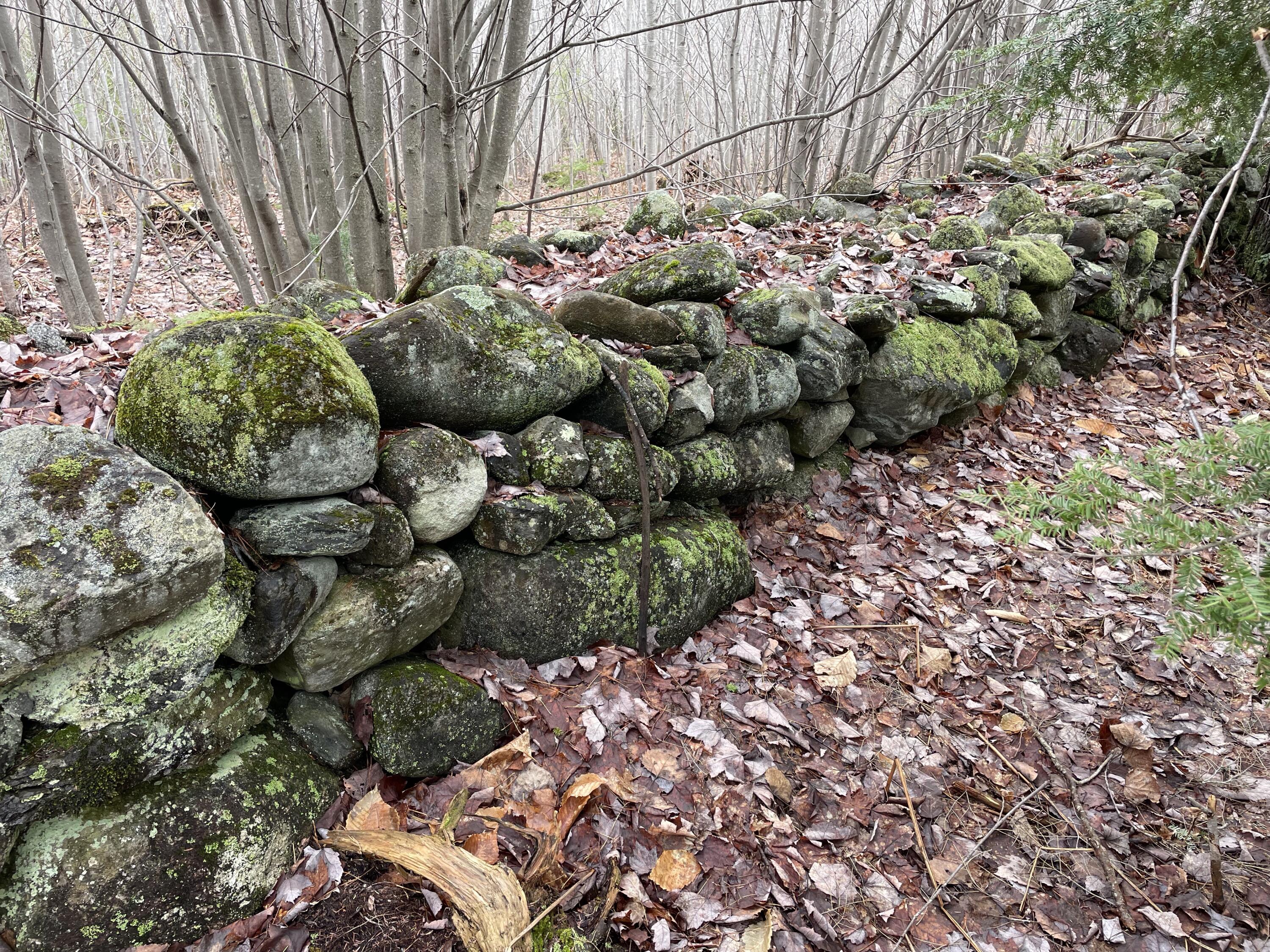 Tbd Shaw Hill Road Industry, ME 04938 - Photo 4 of 71 wr8v+vClSPulu9ukg8qm5A