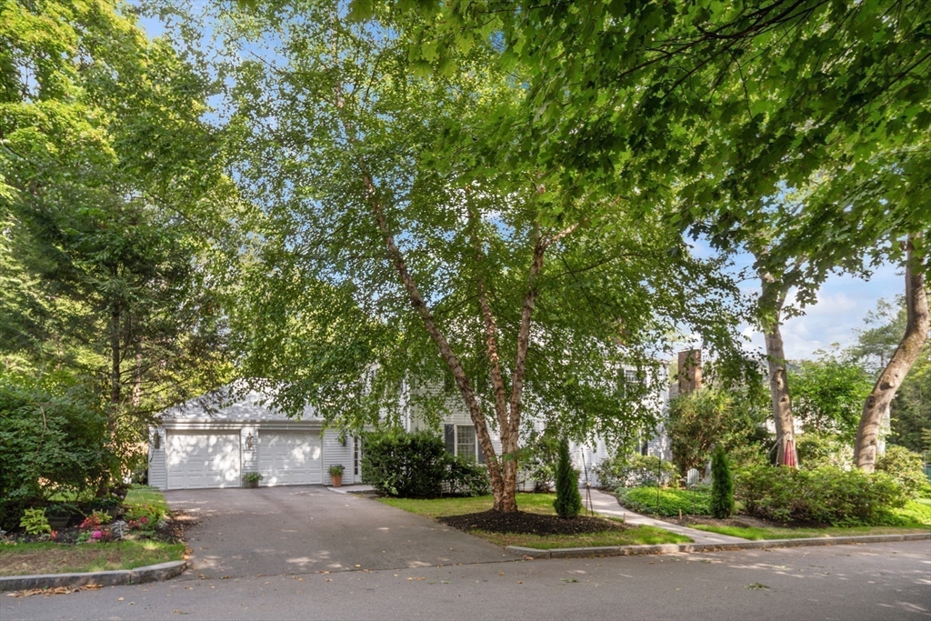 64 Varick Road Newton, MA 02468 - Photo 30 of 32