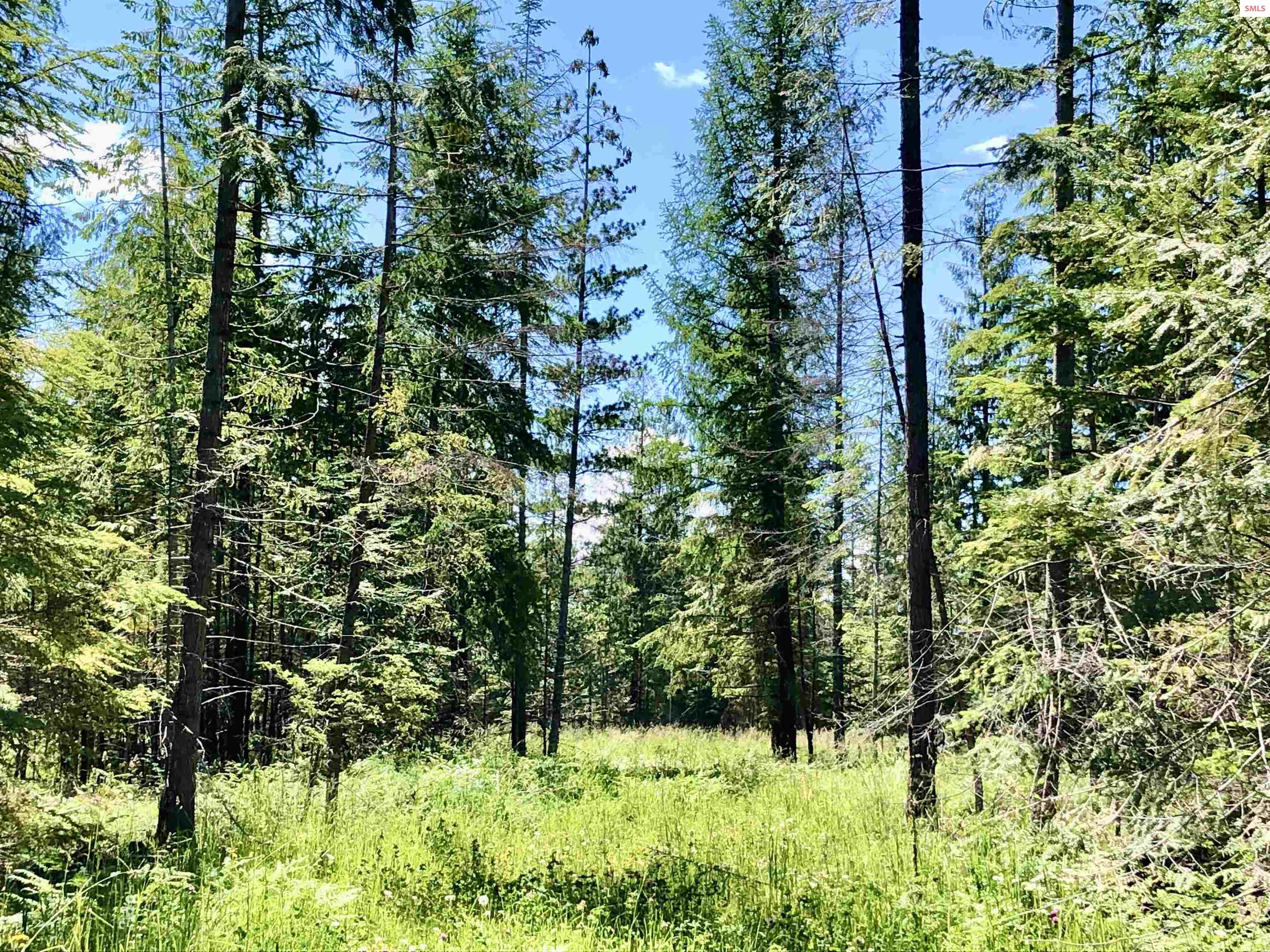 4 Lost Mile Road Naples, ID 83847 - Photo 19 of 37