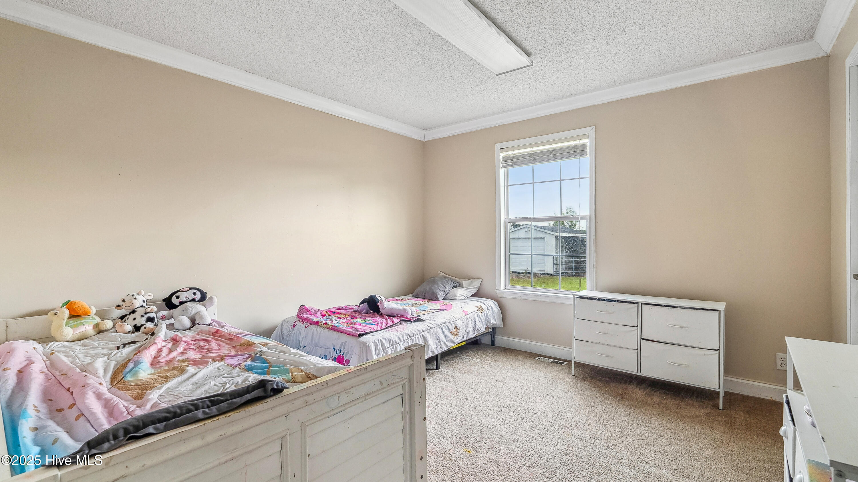 4657 Ray Road Spring Lake, NC 28390 - Photo 18 of 31 DSC02155