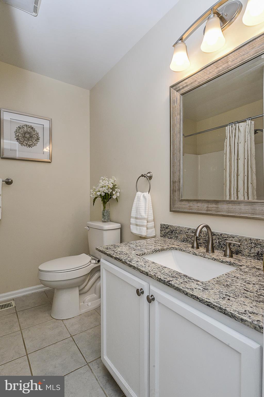 5501 Hoover Road Reva, VA 22735 - Photo 14 of 24 Full Bath