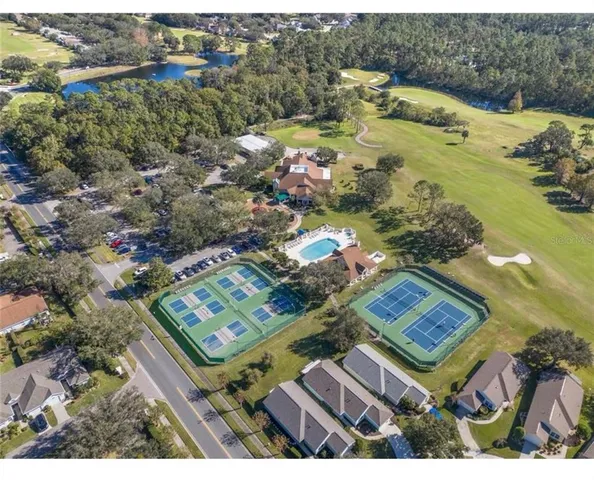 an ocean view with palm trees