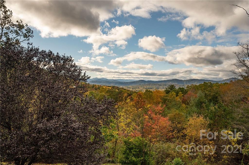 231 Riene Road Swannanoa, NC 28778 - Photo 35 of 35 Gallery Image 35